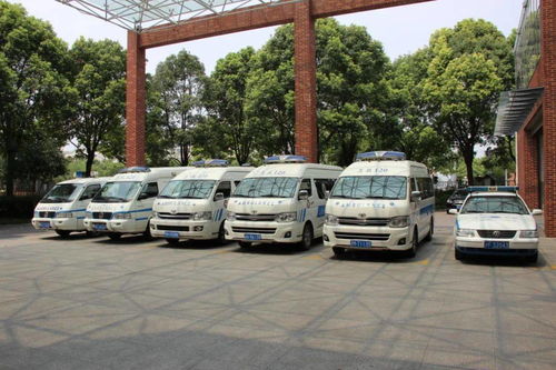 守護(hù)生命通道 浦東新區(qū)區(qū)域救治服務(wù)體系全面升級